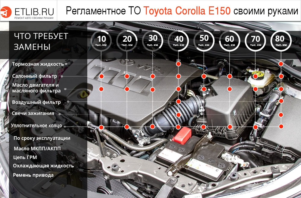 Регламент ТО Тойота Королла Е150. Периодичность технического обслуживания Toyota Corolla E150