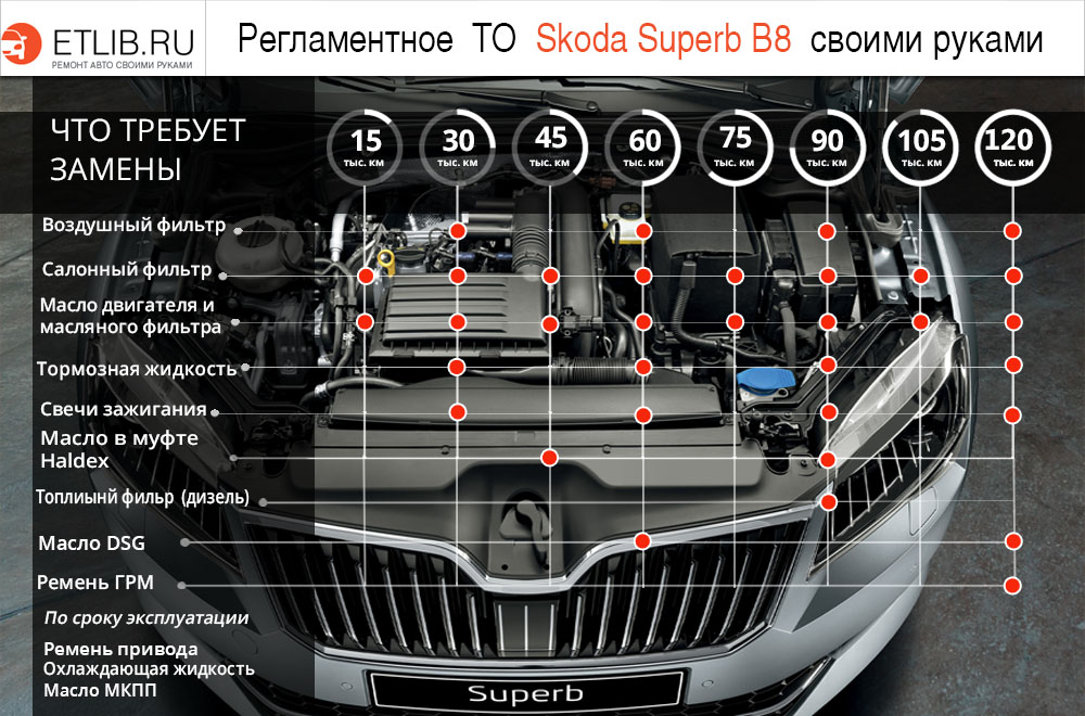Список работ и периодичность замены при регламентном ТО на Skoda Superb В8 Регламент ТО Шкода Суперб В8. Периодичность технического обслуживания Skoda Superb В8