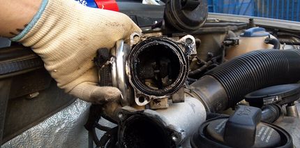 Как проверить ЕГР