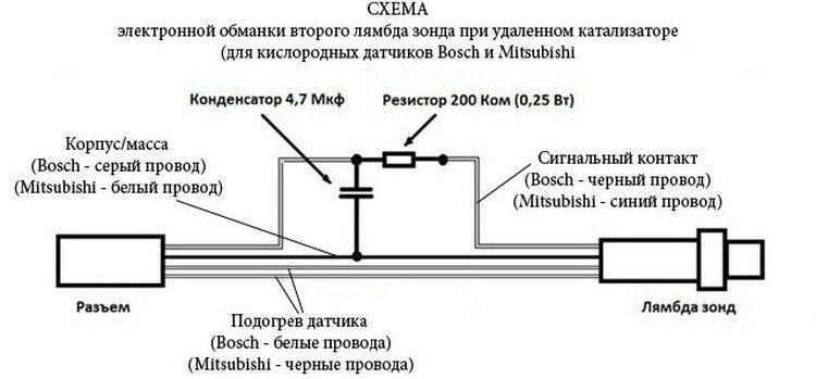 Proteus Rus Ryb 2013 24
