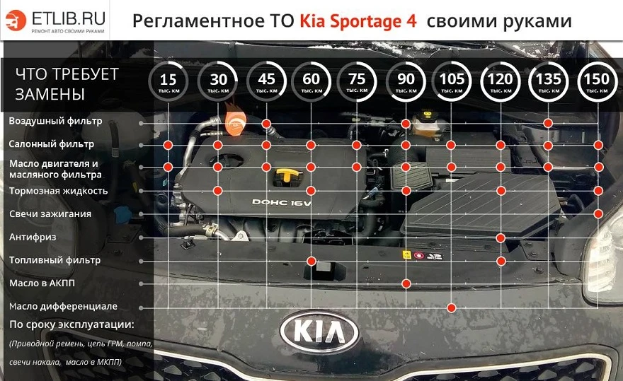 Регламент и периодичность технического обслуживания Kia Sportage 4