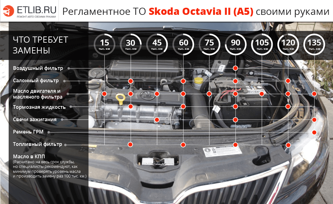 Регламент ТО Шкода Октавия 2 A5. Периодичность технического обслуживания Skoda Octavia II A5