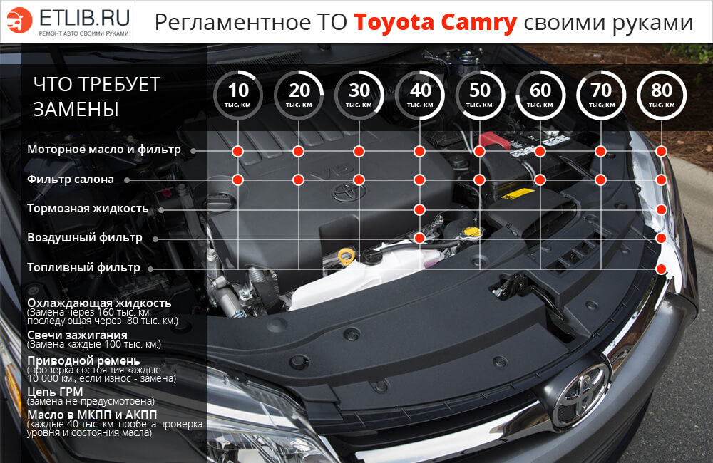 Регламент ТО Тойота Камри V40. Периодичность технического обслуживания Toyota Camry V40