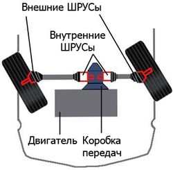 Расположение ШРУСов