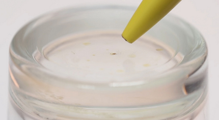 Результат проверки бензина на смолы Результат проверки бензина на смолы