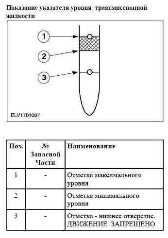 Замена масла в АКПП Форд Фокус 2 - проверка уровня масла, требуемый объем