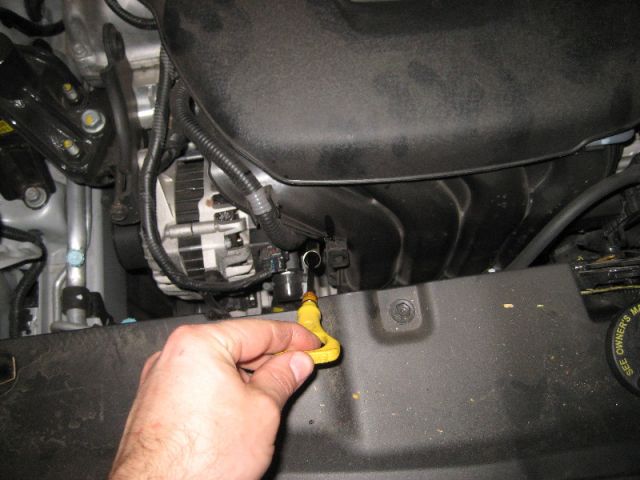 21505.jpg